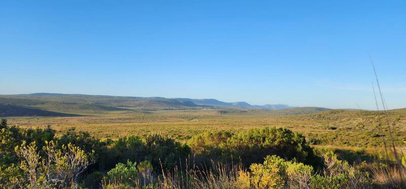 0 Bedroom Property for Sale in Albertinia Western Cape